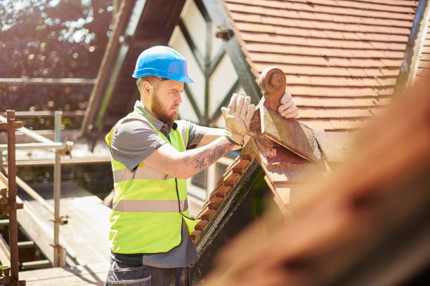 Best Roof Restoration Services  in Forest Meadows, CA