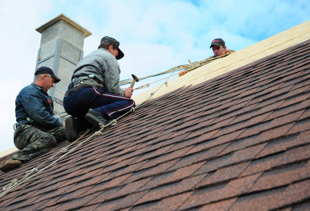 Best Residential Roofing Contractor  in Forest Meadows, CA